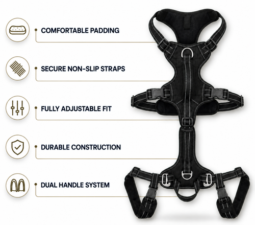 Lift & Go™ - Senior Dog Mobility Support System