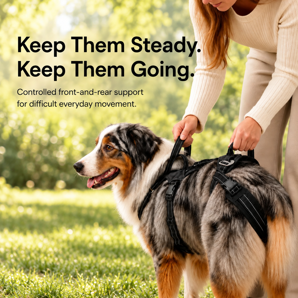 Lift & Go™ - Senior Dog Mobility Support System